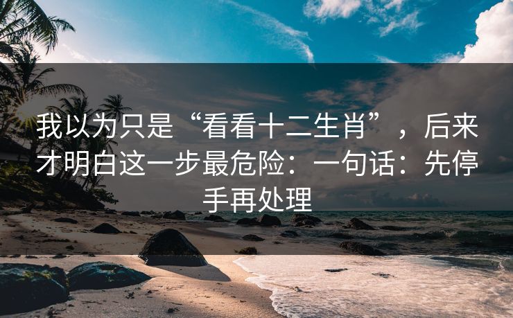 我以为只是“看看十二生肖”，后来才明白这一步最危险：一句话：先停手再处理