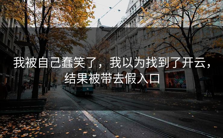 我被自己蠢笑了，我以为找到了开云，结果被带去假入口